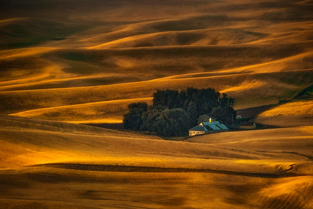 Golden Hills Farm by Lydia Jacobs — canvas wall art