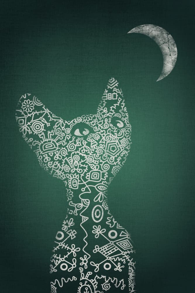 Moon Gazing Cat by Ema Paraschiv — canvas wall art