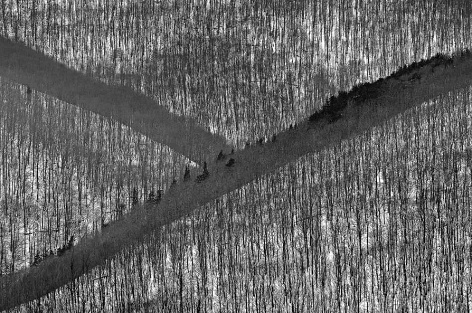 Winter Forest Crossroads by Jure Kravanja — canvas wall art