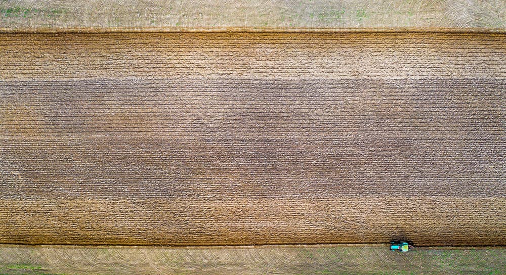 Cultivating Earth's Patterns by Wojciech Kruczynski — canvas wall art