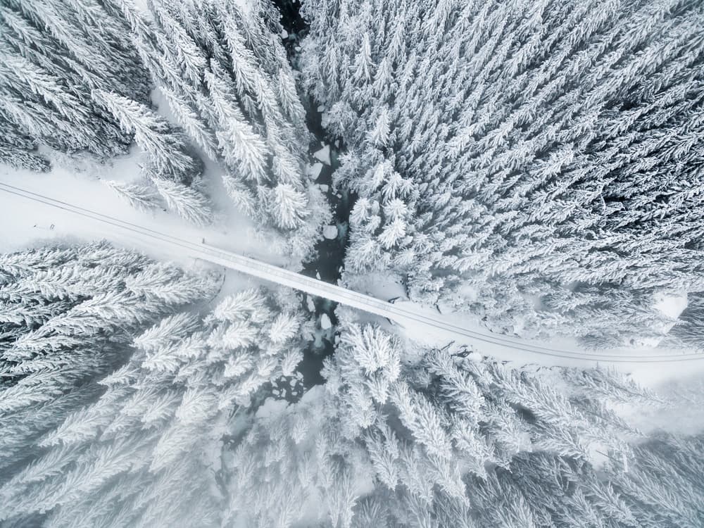 Snowy Forest River Bridge by Evgeny Vasenev — canvas wall art