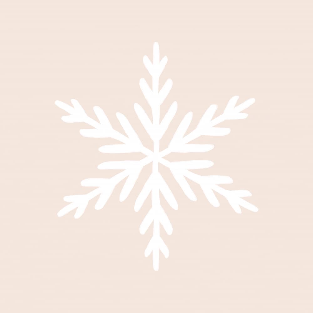 Delicate Winter Snowflake by Orara Studio — canvas wall art