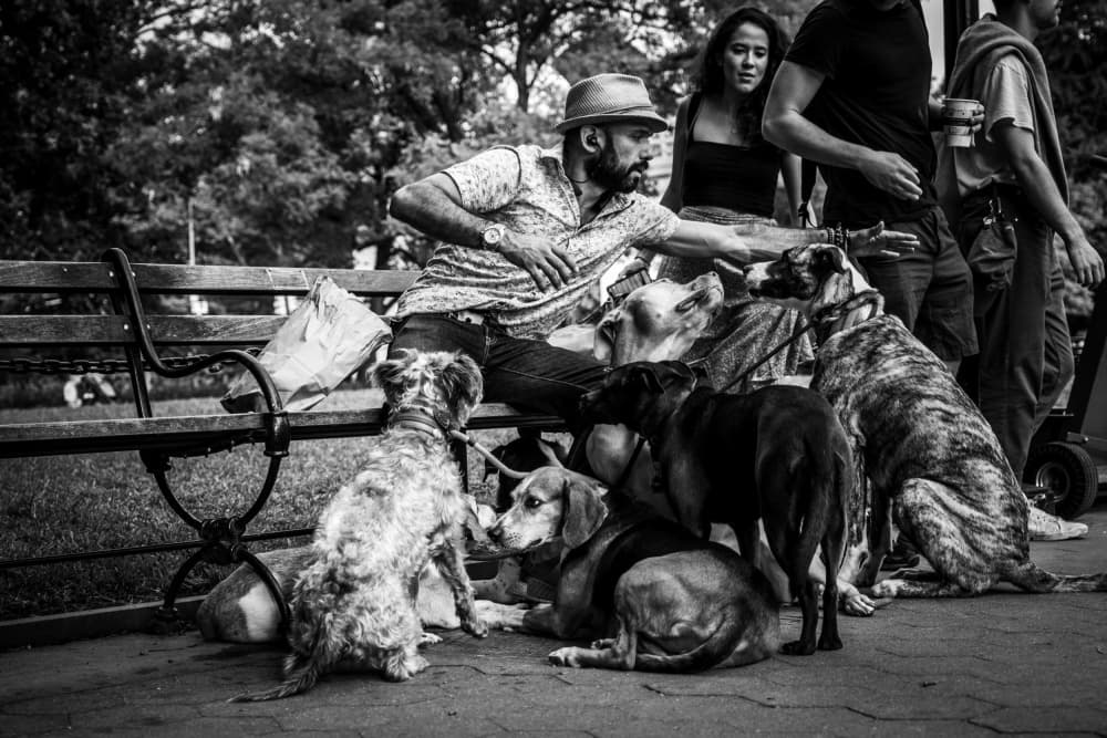 Man And Many Dogs by Rolf Gasser — canvas wall art