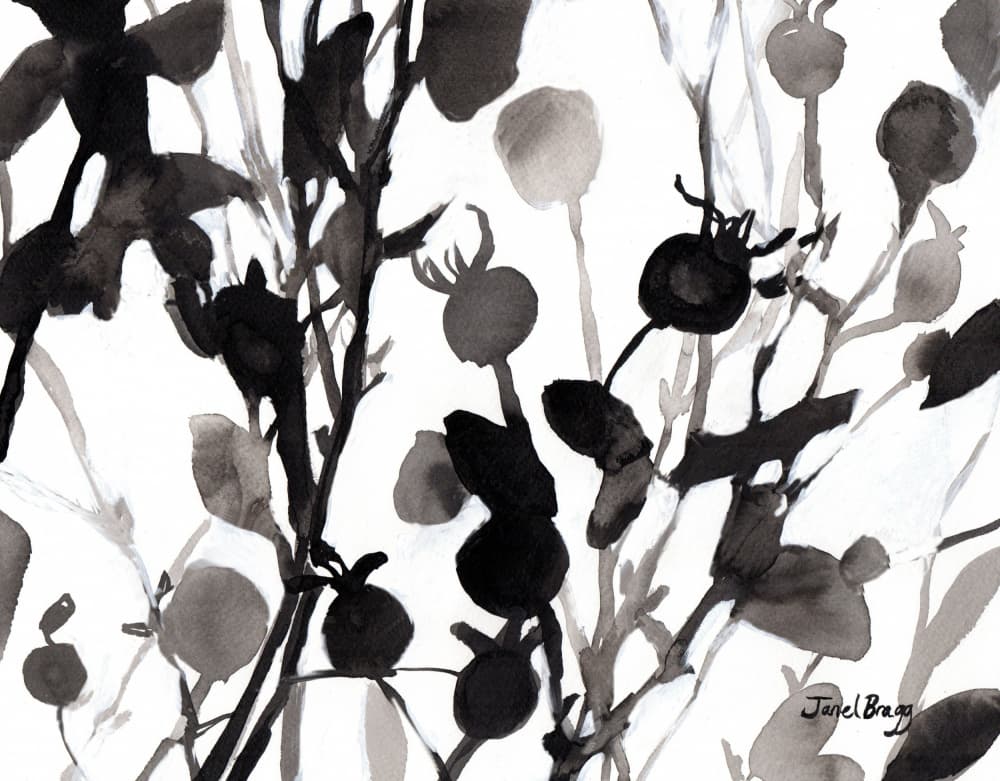 Abstract Ink Flora by Janel Bragg — canvas wall art