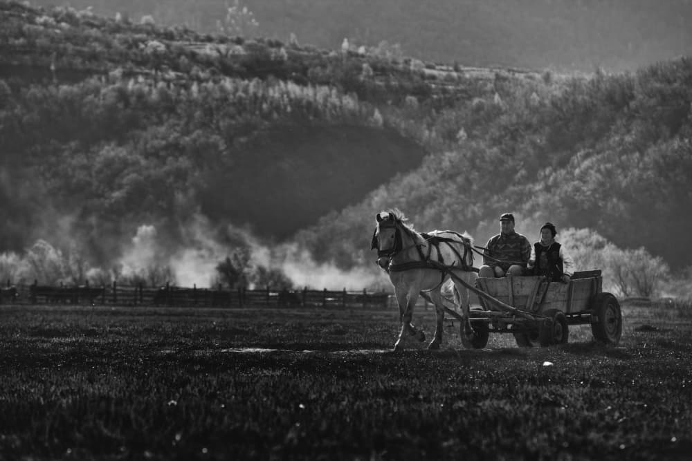 Misty Mountain Horse Cart by Julien Oncete — canvas wall art