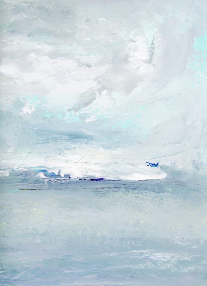 Distant Plane Clouds