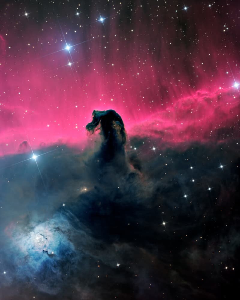 Majestic Horsehead Nebula by Vikas Chander — canvas wall art