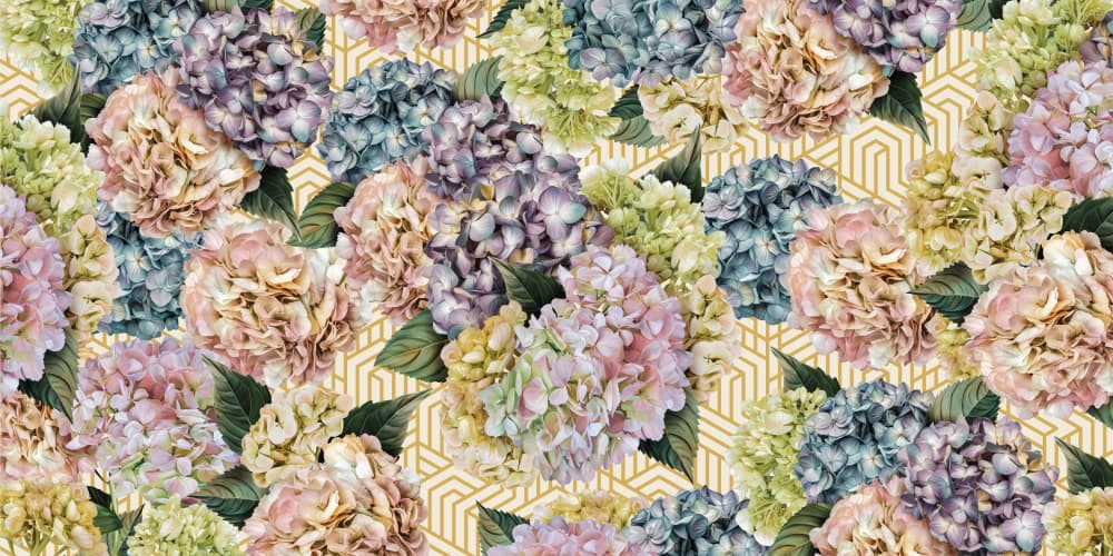 Pastel Hydrangea Blooms by Sue Skellern — canvas wall art