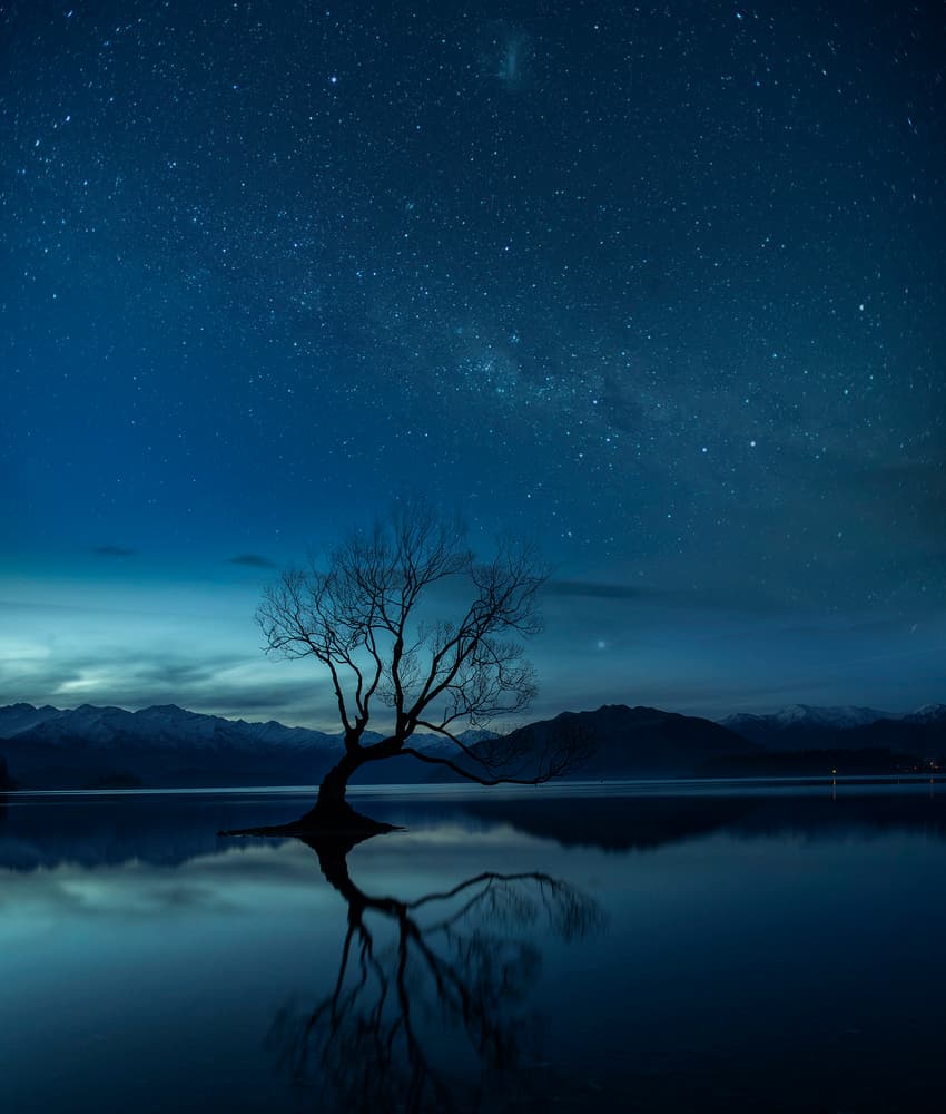 Lone Tree Starry Night by Yu Cheng — canvas wall art