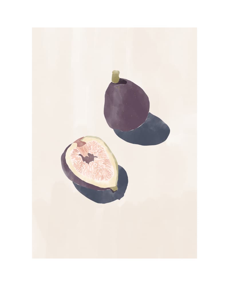 Fresh Purple Figs by Ivy Green Illustrations — canvas wall art