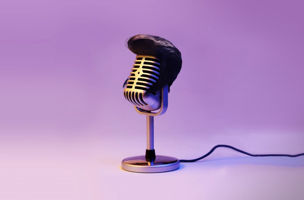 Wigged Retro Microphone by Artem Pozdniakov — canvas wall art