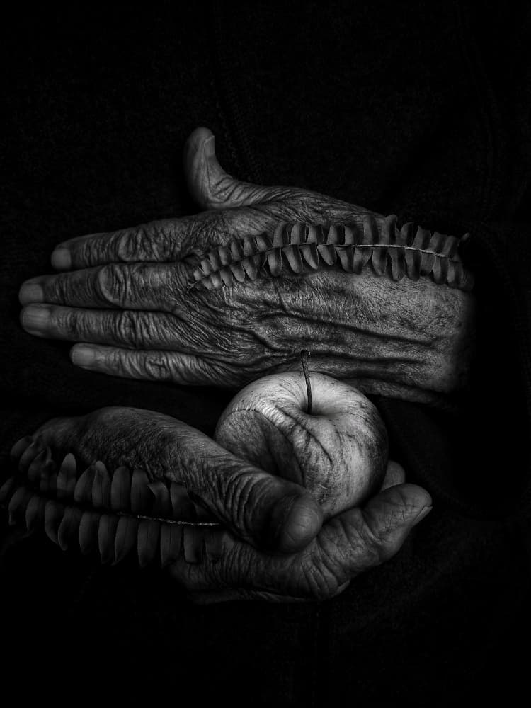 Surreal Aged Hands and Apple by Ingrida Urbonavičienė — canvas wall art