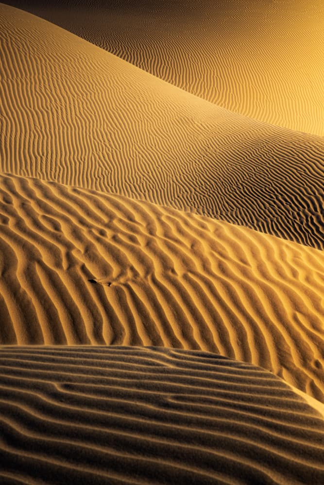 Rippling Desert Sand by Hosein Babaei — canvas wall art