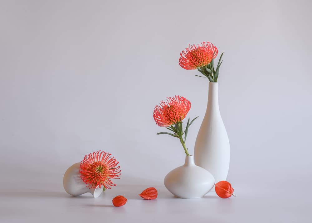 Orange Protea Vases by Alice Sheng — canvas wall art