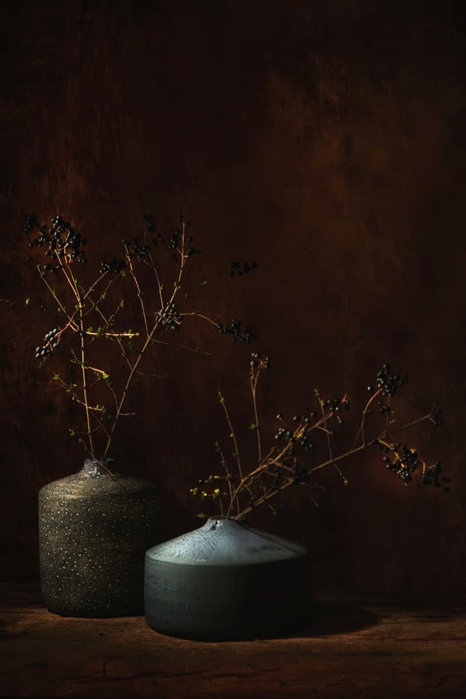 Moody Botanical Vases by Saskia Dingemans — canvas wall art