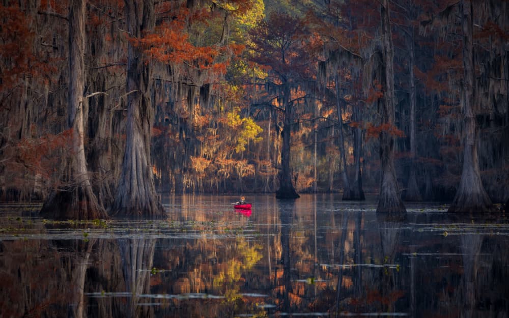 Red Canoe Autumn Swamp by Michael Zheng — canvas wall art