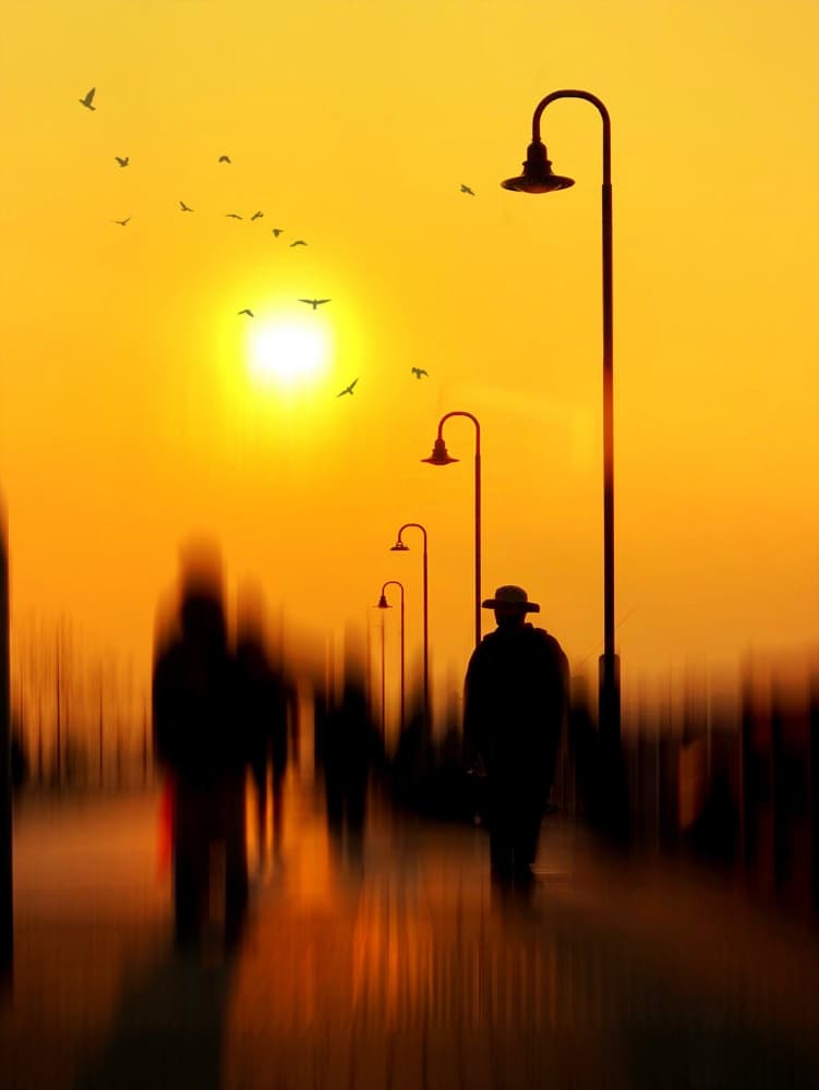 Sunset Path Silhouettes by Lammakmak — canvas wall art