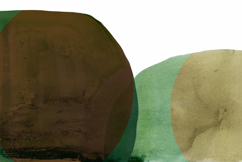 Organic Earthy Shapes by cartissi — canvas wall art