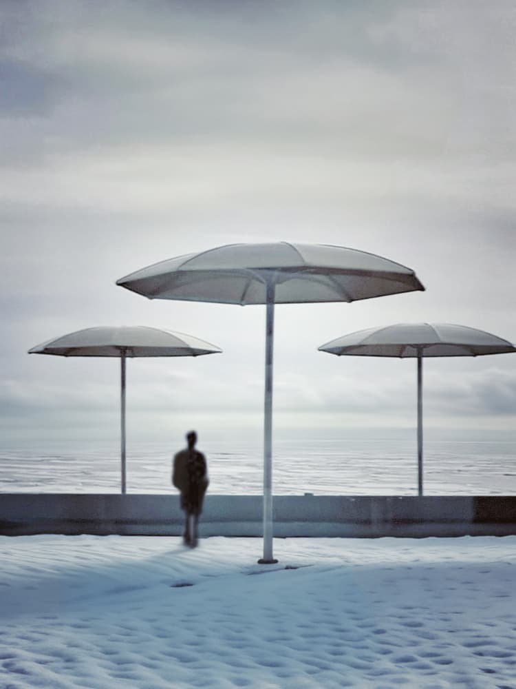 Stark Winter Solitude by Weiwei — canvas wall art