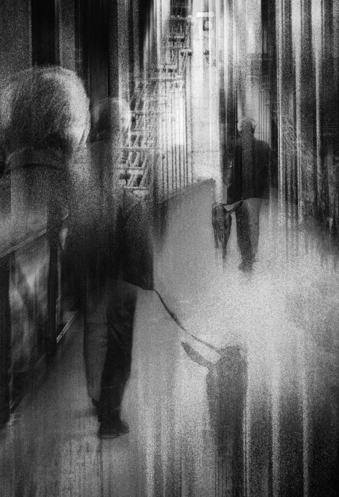 Rainy City Dog Walk by Charlaine Gerber — canvas wall art