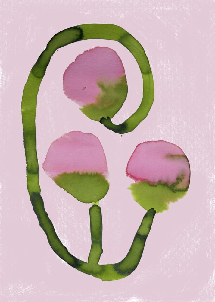 Abstract Pink Blooms by Carola Cedell — canvas wall art