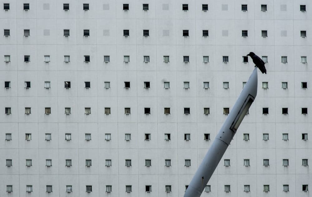 Crow and City Windows by Kouji Tomihisa — canvas wall art