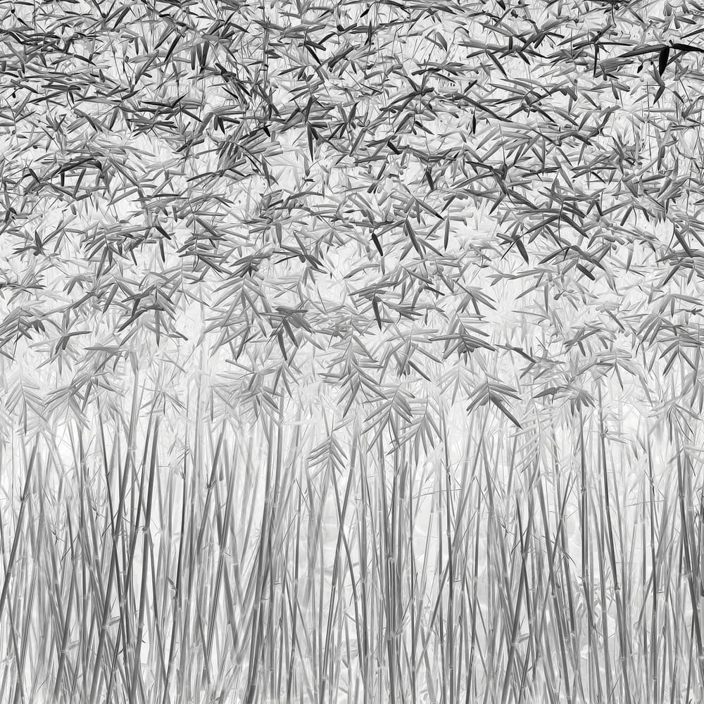 Serene Bamboo Forest by JEFFLIN LING — canvas wall art