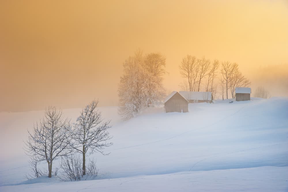 Golden Winter Fog by Burger Jochen — canvas wall art