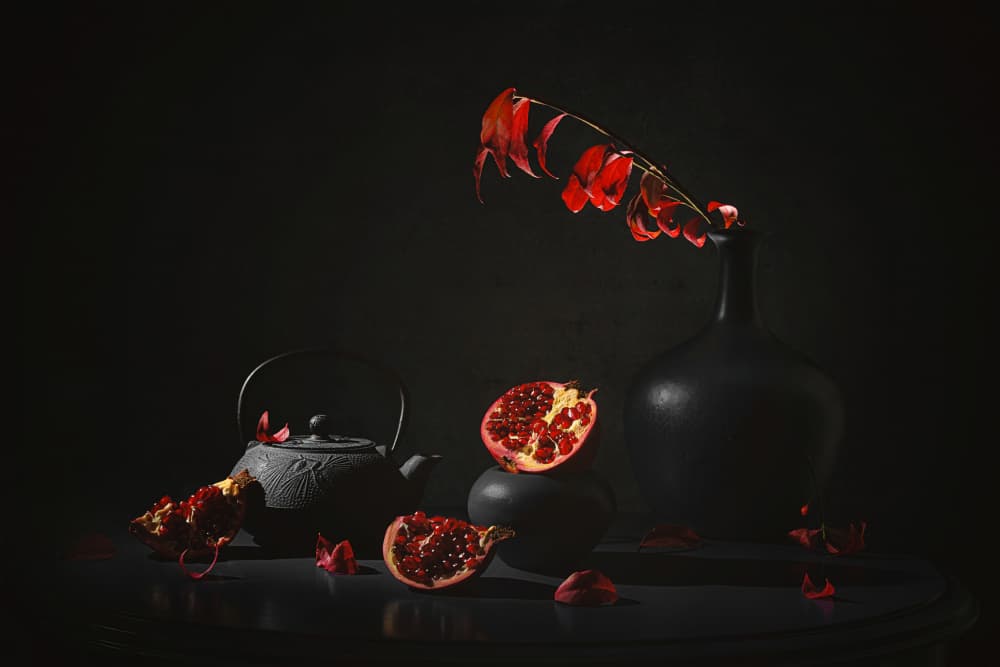 Dark Pomegranate Still Life by Lydia Jacobs — canvas wall art