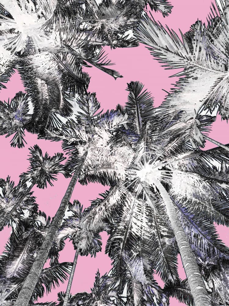 Pink Tropical Palms by Santhosh ch — canvas wall art