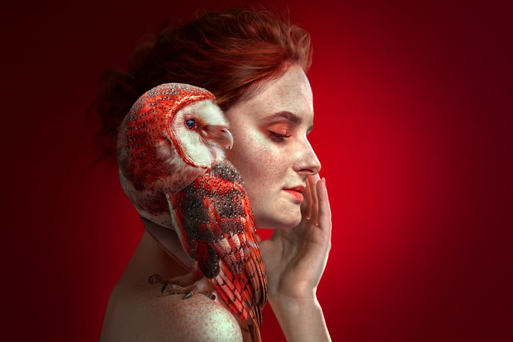 Woman and Red Owl by Marcel Egger — canvas wall art