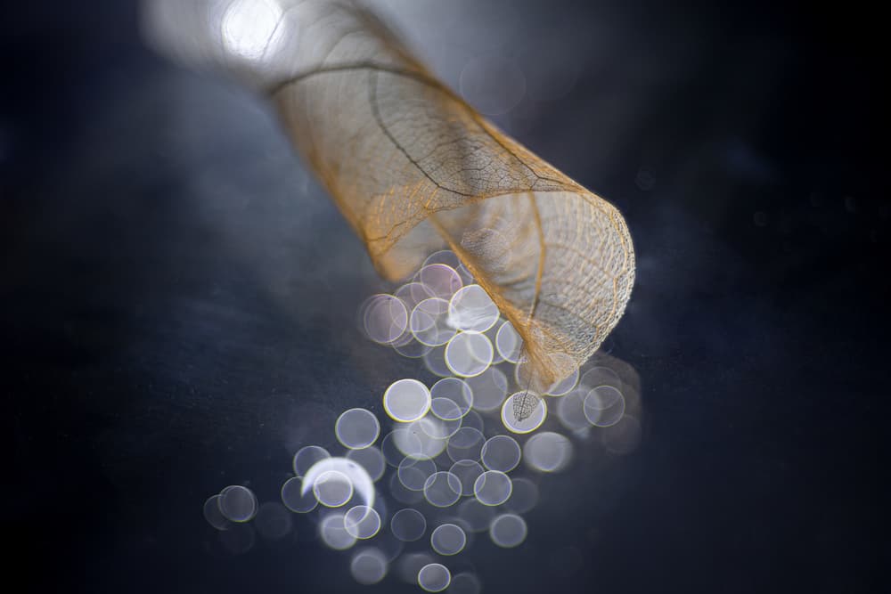 Ethereal Leaf Bokeh by Igor Kopcev — canvas wall art