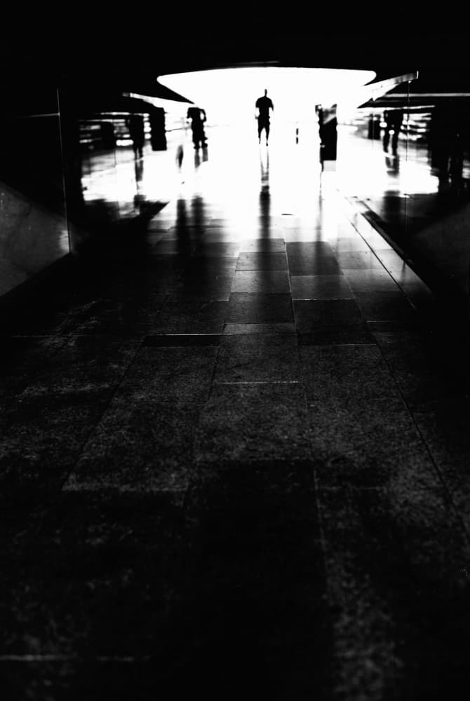 Path to Light by Paulo Abrantes — canvas wall art
