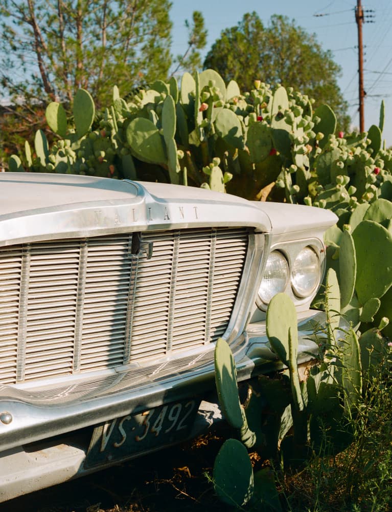 Vintage Car Desert Bloom by Bethany Young — canvas wall art
