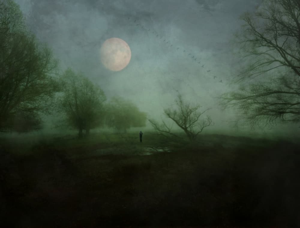 Misty Moonlit Solitude by Robert Fabrowski — canvas wall art