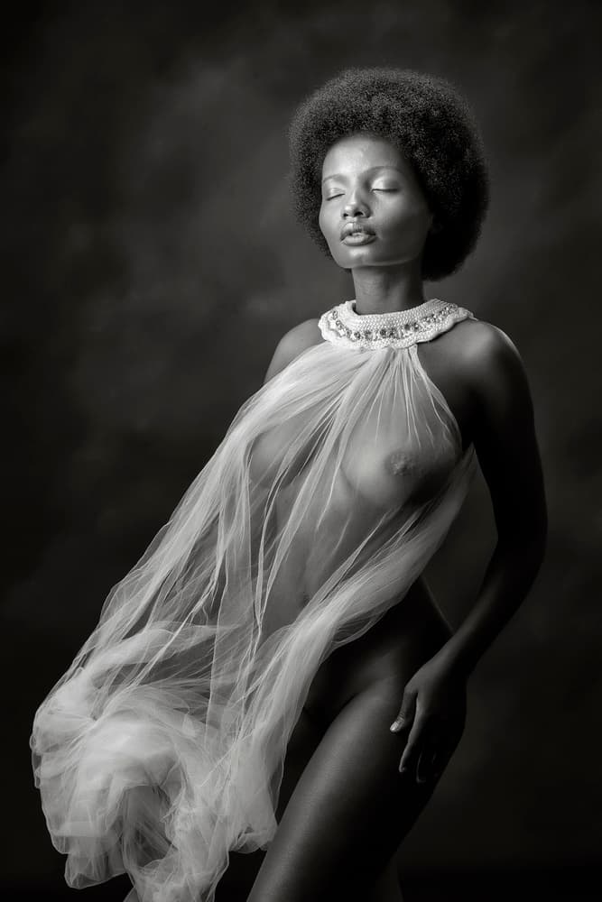 Ethereal Black Beauty by Hugh Wilkinson — canvas wall art