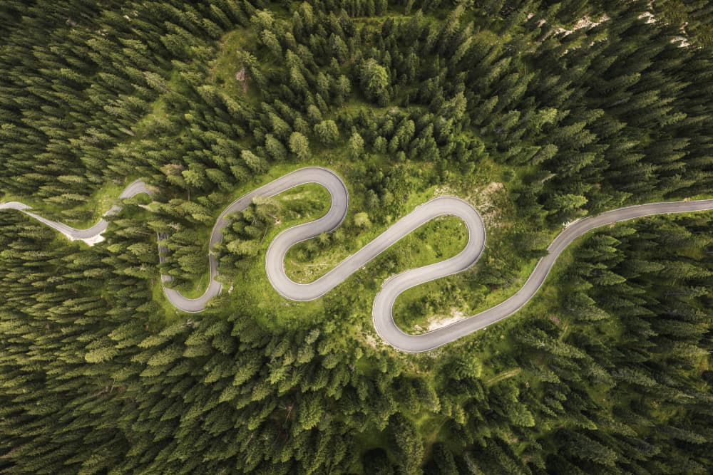 Winding Forest Road by Andrea Maestosi — canvas wall art