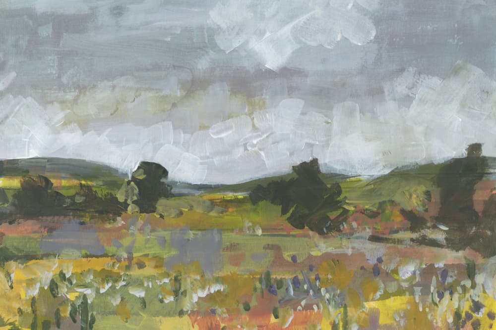 Moody Fields And Sky by cartissi — canvas wall art