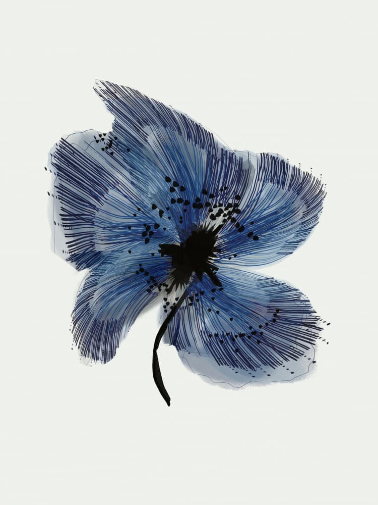 Abstract Blue Bloom by casa cartissi — canvas wall art