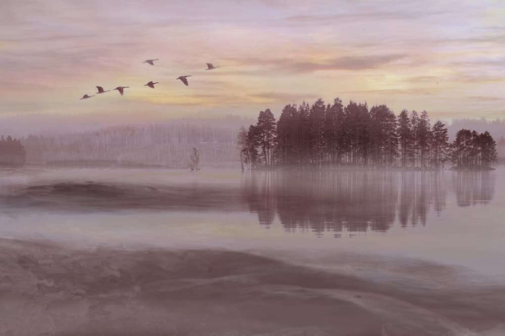 Misty Lake Bird Flight by Christina Sillen — canvas wall art