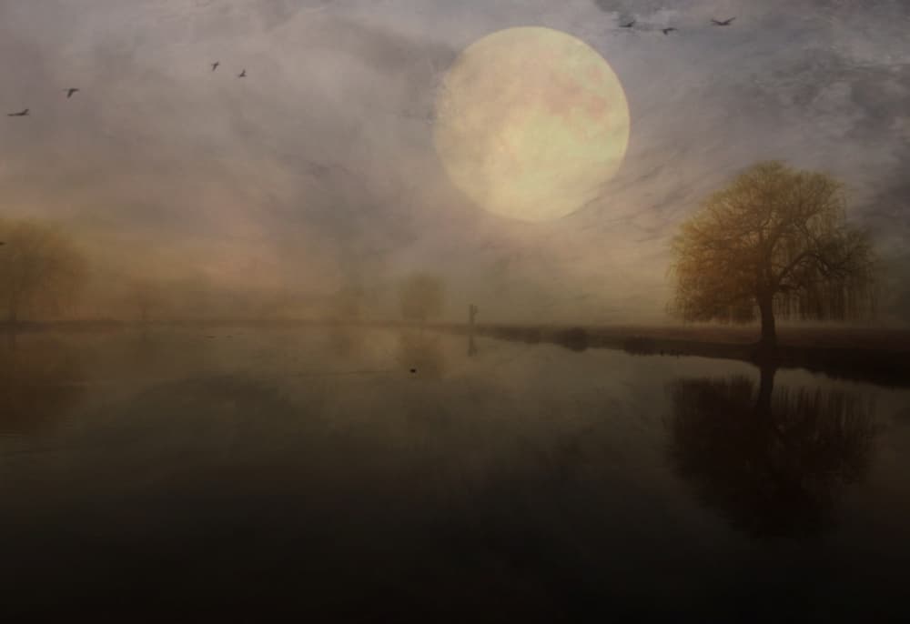 The Lost Morning by Robert Fabrowski — canvas wall art