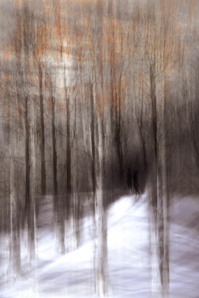 Ethereal Winter Forest by Christina Sillen — canvas wall art