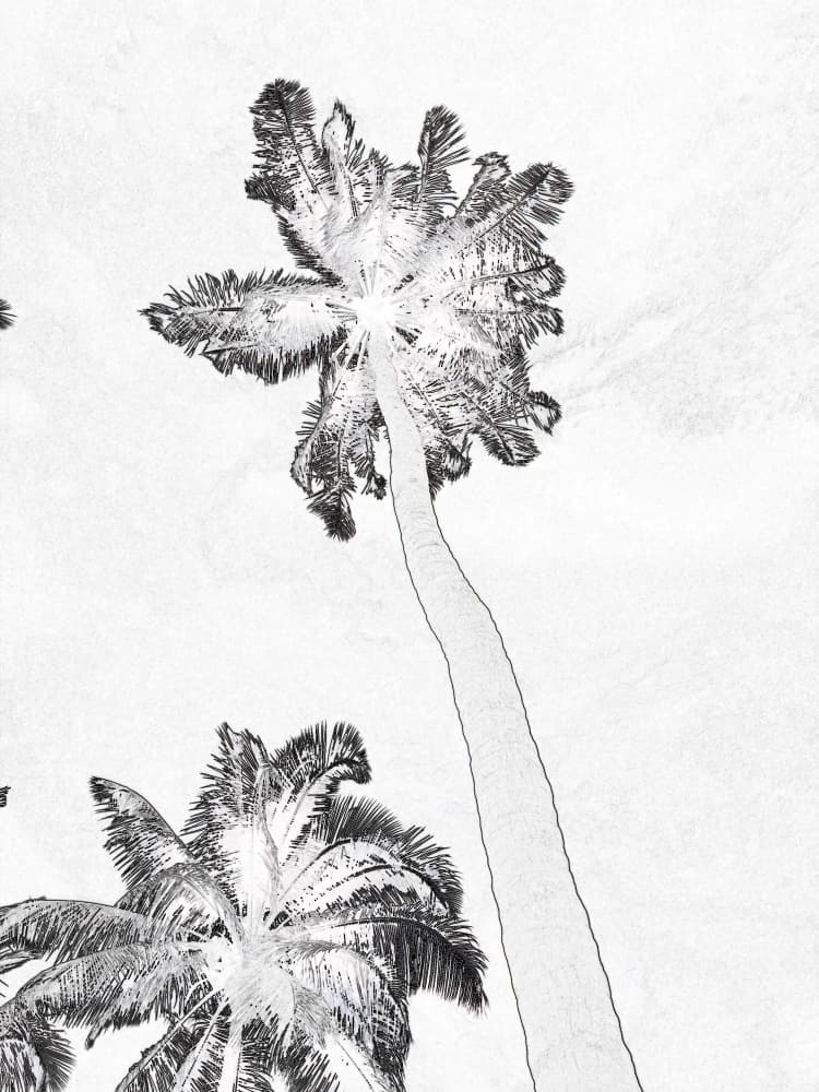 Minimalist Palm Trees by Santhosh ch — canvas wall art