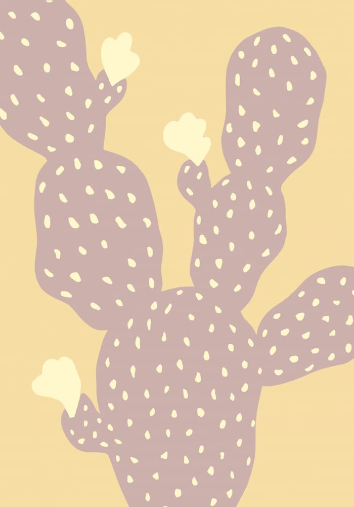 Purple Cactus Bloom by Pictufy Studio — canvas wall art