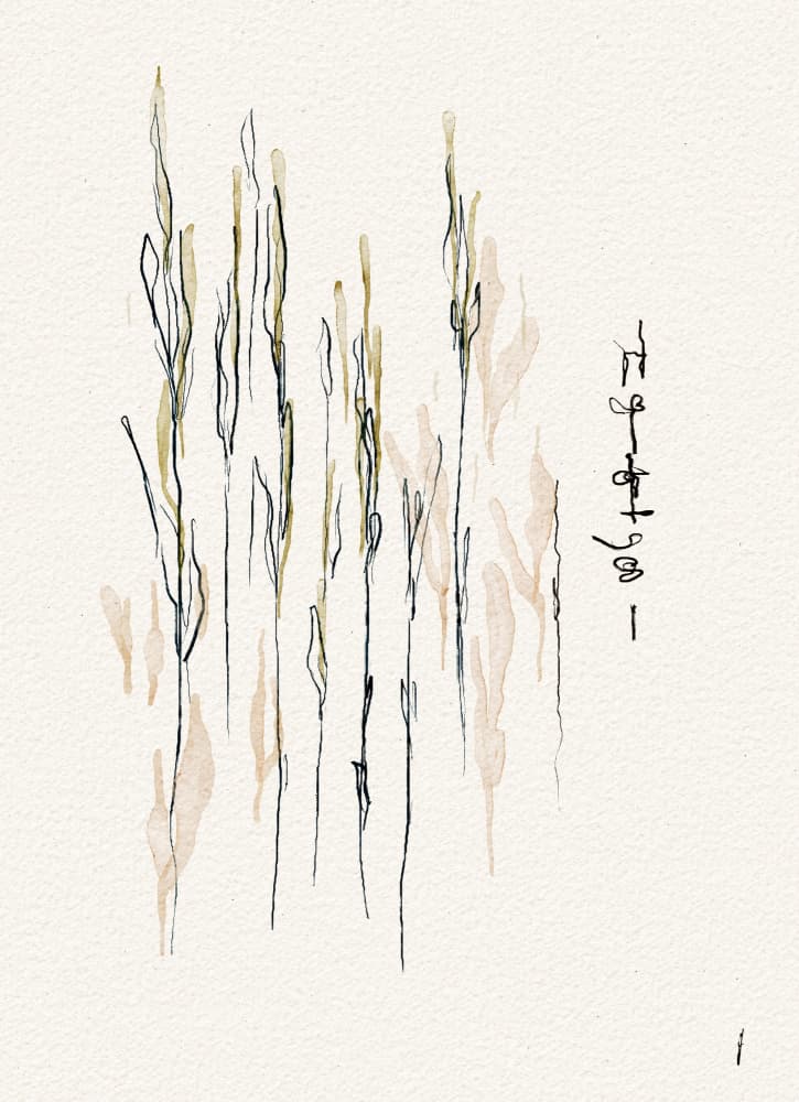 Whispering Reeds by Ankie Kooi — canvas wall art