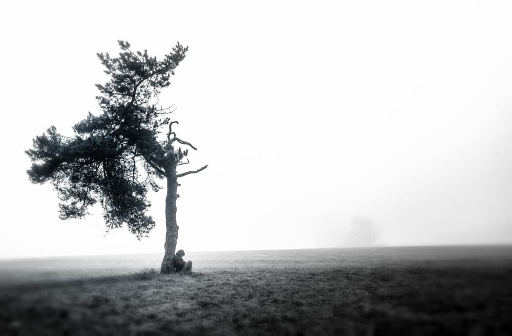 Lone Tree Solitude by Klaus Grimm — canvas wall art