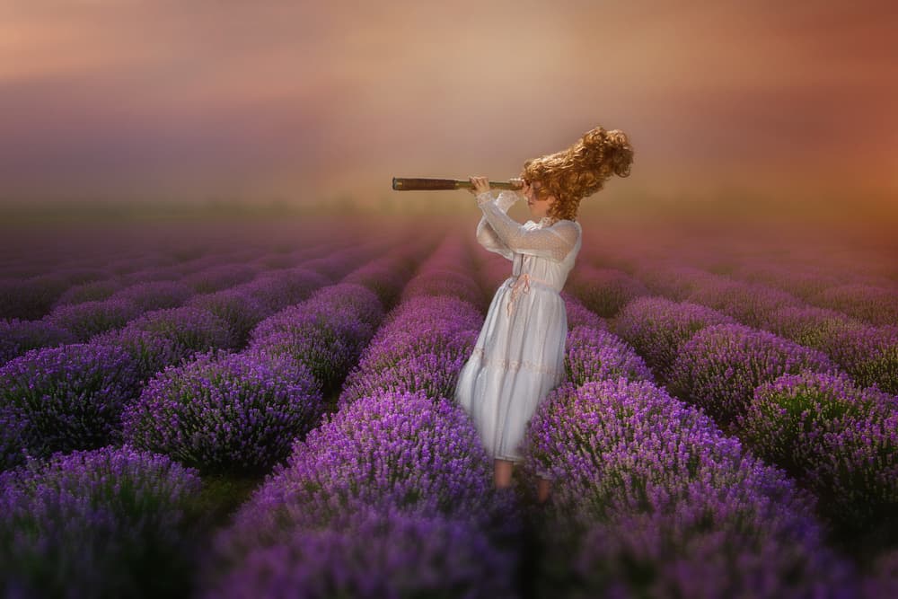 Lavender Field Dreamer by Monika Vanhercke — canvas wall art