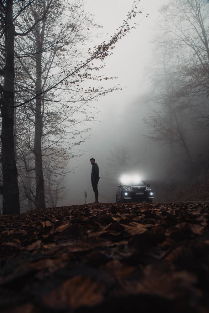 fog by Meraj — canvas wall art