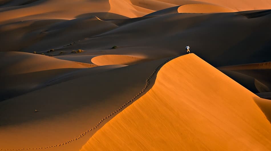 Golden Dune Solitude by Mohammadreza Momeni — canvas wall art