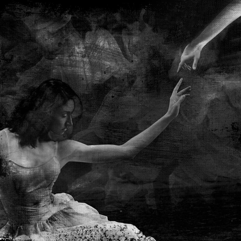 Graceful Longing by Rachel Pansky — canvas wall art